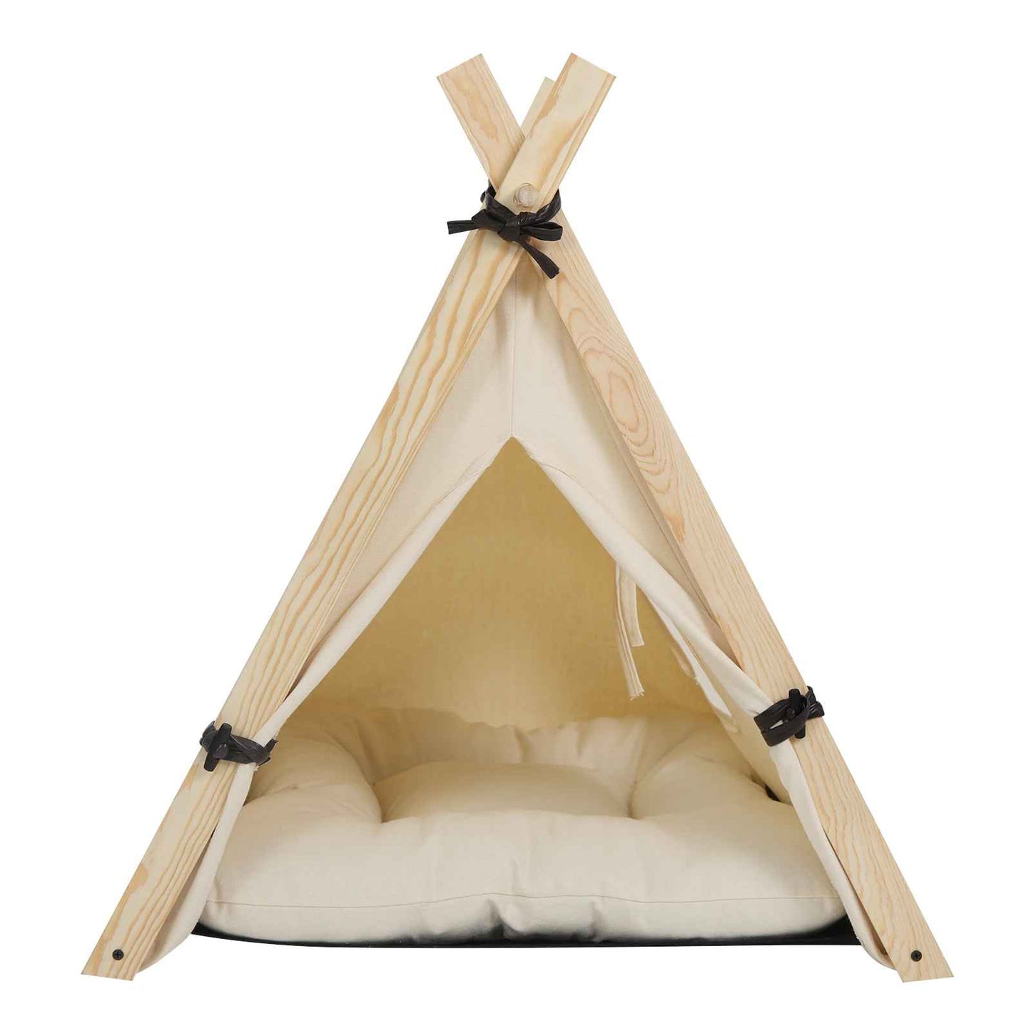 tente pour chat face