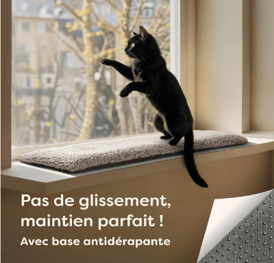 antidérapant du tapis de lit pour chat
