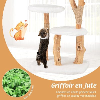 Arbre a chat en bois / Poirier massif 110cm - Chat - Mellow