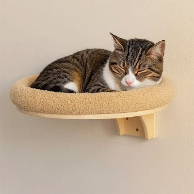 Arbre à chat mural / Personnalisable plateforme