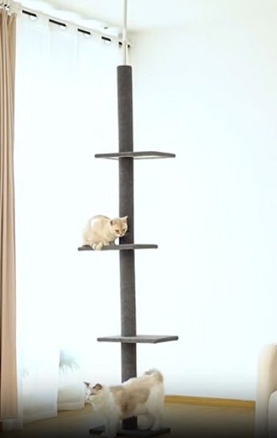 Arbre a chat XXL| Modulable 228 - 273cm dans salon