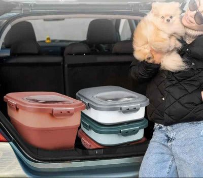 Boite à croquettes pour chat | Conservation Fraîcheur et pliable