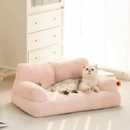 canape pour chat et chat blanc