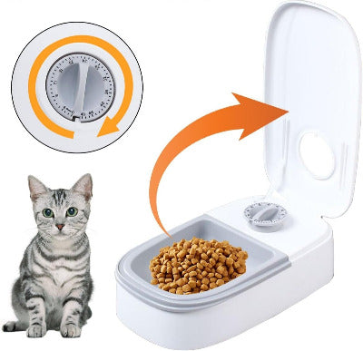 chat à côté du Distributeur de croquettes pour chat programmable 