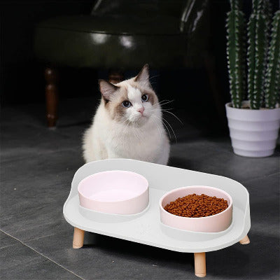 chat assis à côté de la Gamelle chat surélevée à double bol 