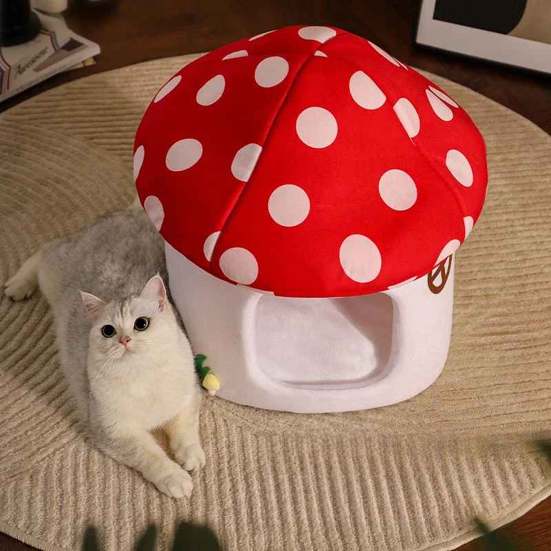chat à côté de la niche champignon
