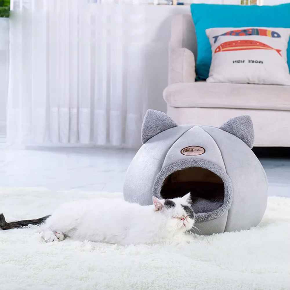 chat a cote niche chat