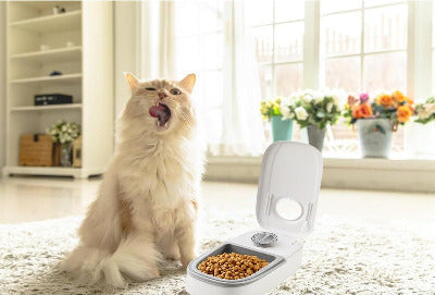 chat apprécie de manger dans le Distributeur de croquettes pour chat programmable 