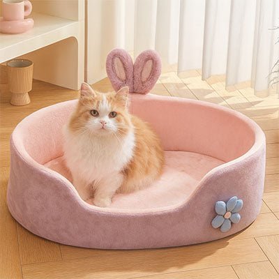 chat assis dans le Panier chic pour chat / Oreilles de lapin - 