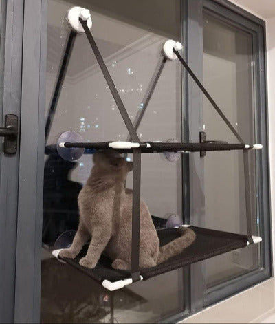 chat assis sur le hamac fenêtre double