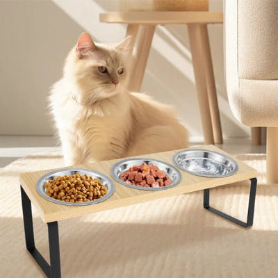 chat blanc à côté de la Gamelle chat surélevée 3 bols 