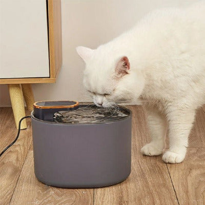 chat blanc boit dans la Fontaine a eau chat  Rotative noir