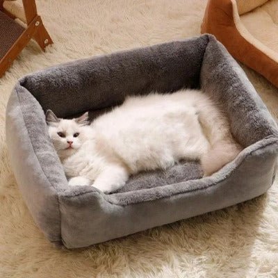 chat blanc couché dans son Panier chat, lit doux et confortable 