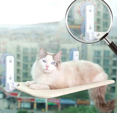 chat blanc couché sur Hamac chat fenêtre ventouse ou mural, perchoir lit pliable 
