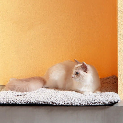 chat  blanc couché sur tapis de lit pour chat