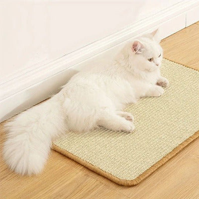 chat blanc couché sur le Tapis pour griffe chat multi - usages 