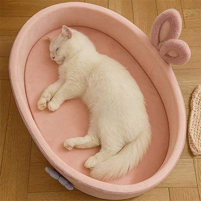 chat blanc dort dans le Panier chic pour chat / Oreilles de lapin 