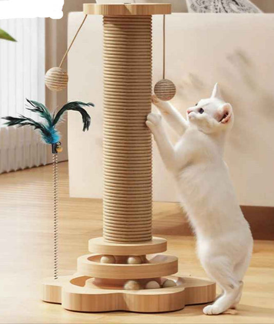 chat blanc joue griffoir pour chat