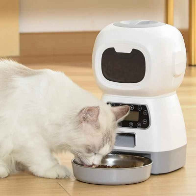 chat blanc mange dans le Distributeur de croquettes pour chat programmable - Nono 