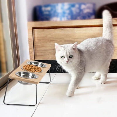 chat blanc se dirige vers la Gamelle chat surélevée 3 bols 