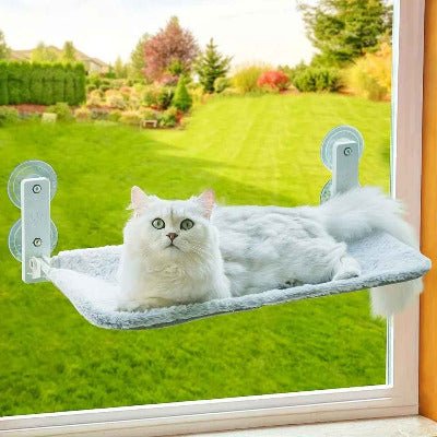 chat blanc sur Hamac chat fenêtre ventouse ou mural, perchoir lit pliable 