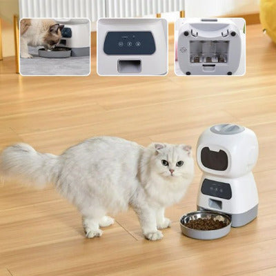 chat blanc vers le Distributeur de croquettes pour chat programmable - Nono 