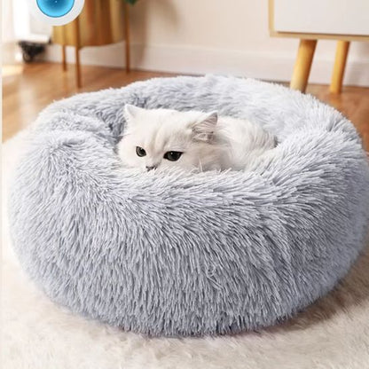 chat couche dans coussin chat
