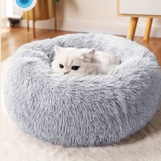 chat couche dans coussin chat