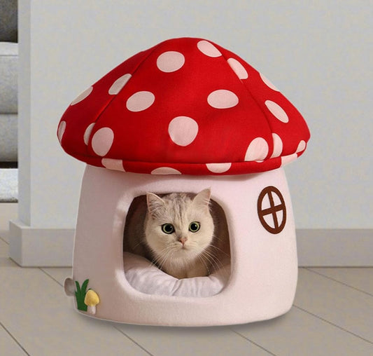 chat couché dans la niche champignon