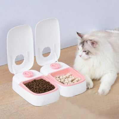 chat couché devant le Distributeur de croquettes pour chat programmable 