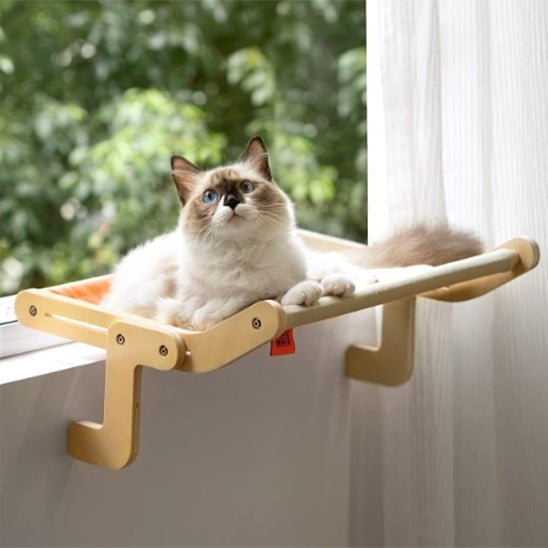 chat couche sur hamac chat