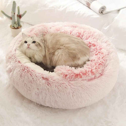 chat couché sur lit tissu