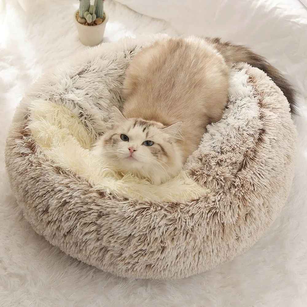 chat dans coussin lit pour chat brun peluche
