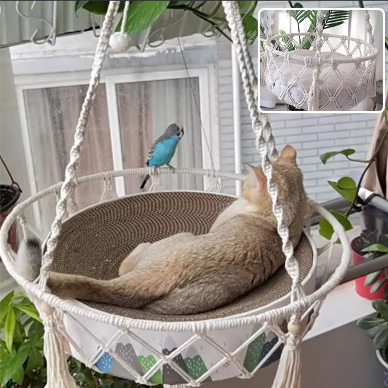 chat dans hamac pour chat dehors