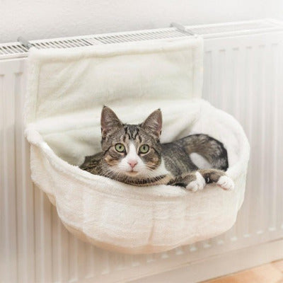 chat dans hamac pour chat radiateur
