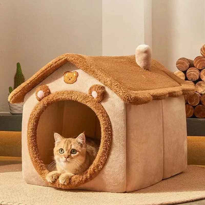 chat dans maison pour chat marron