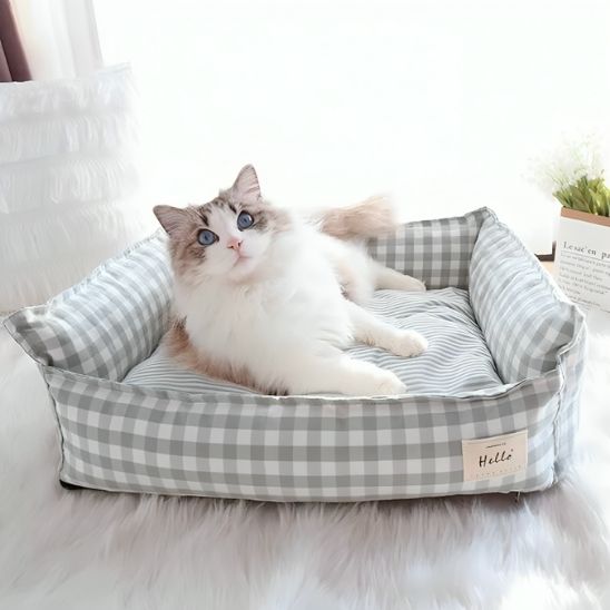 chat dans panier chat