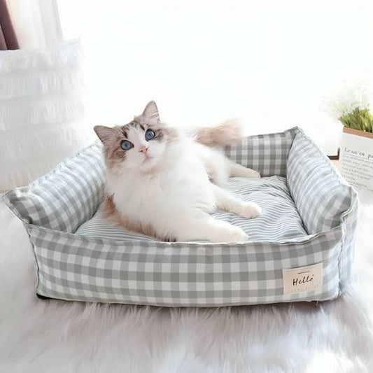 chat dans panier chat