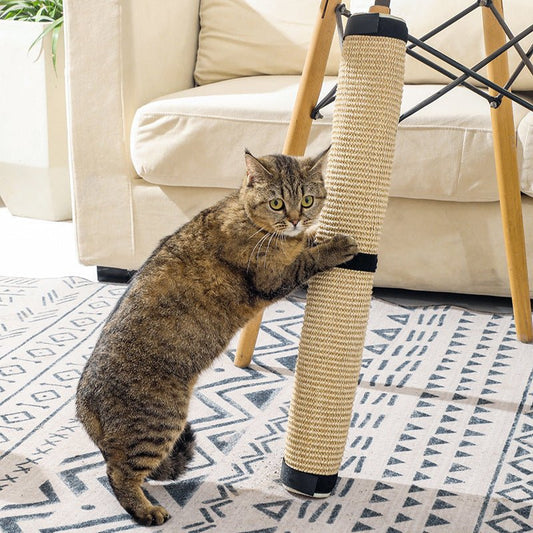 chat debout sur griffoir pour chat