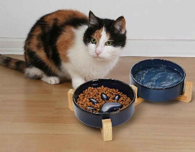 chat devant double Gamelle chat anti glouton céramique surélevée