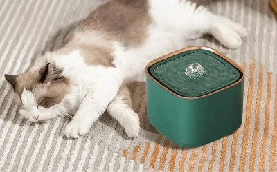 chat dort à côté de la Fontaine à eau chat forme Cube 