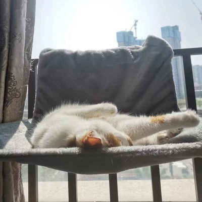 chat dort paisiblement sur son Hamac suspendu pour chat, lit radiateur 