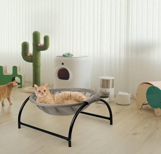 chat etendu dans hamac chat