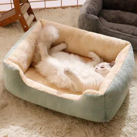 chat étendu dans son panier vert