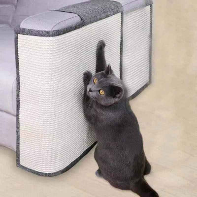 chat gris gratte sur Griffoir chat canapé pour accoudoirs - 