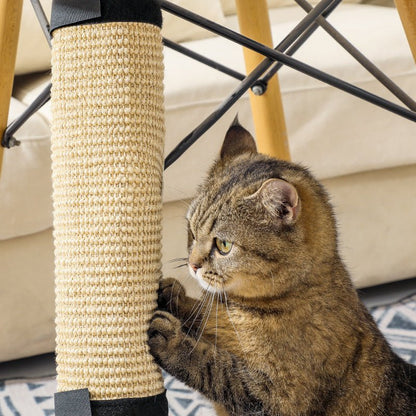 chat griffe sur griffoir pour chat