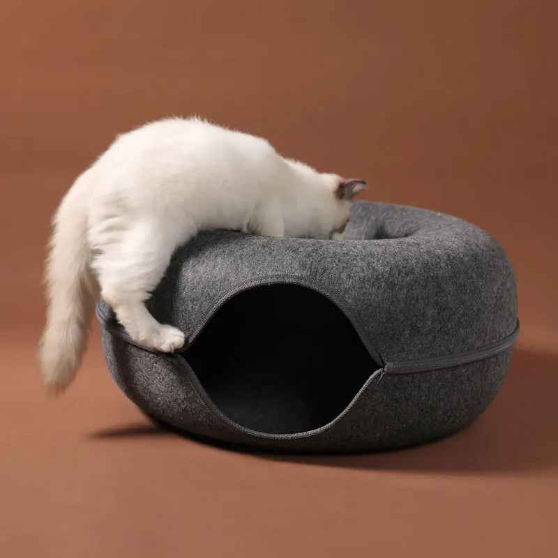 chat grimpant sur lit pour chat
