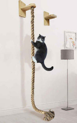 chat grimpe sur le Griffoir pour chat corde murale 