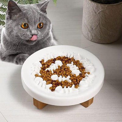 chat gris à côté de la Gamelle anti glouton céramique chat surélevée 