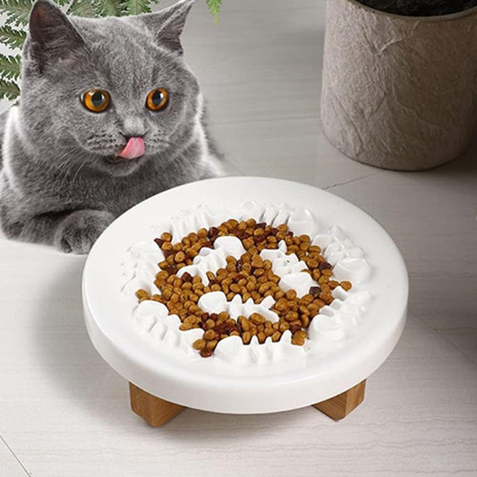 chat gris près de la gamelle anti glouton céramique